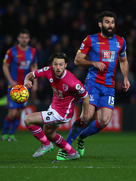 在不断适应 在不断适应